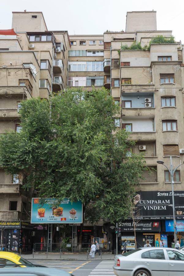 Petite Maison Sur Le Boulevard Bukarest Eksteriør billede